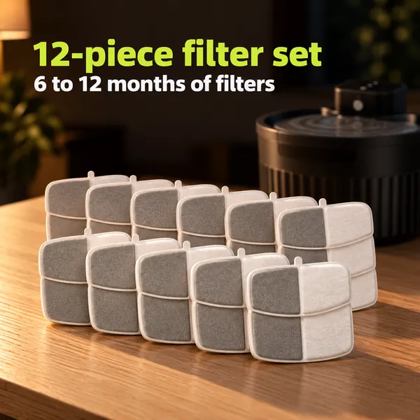 12-piece filter set, 6 to 12 months of filters: twelve filters in two rows in front of the black fountain